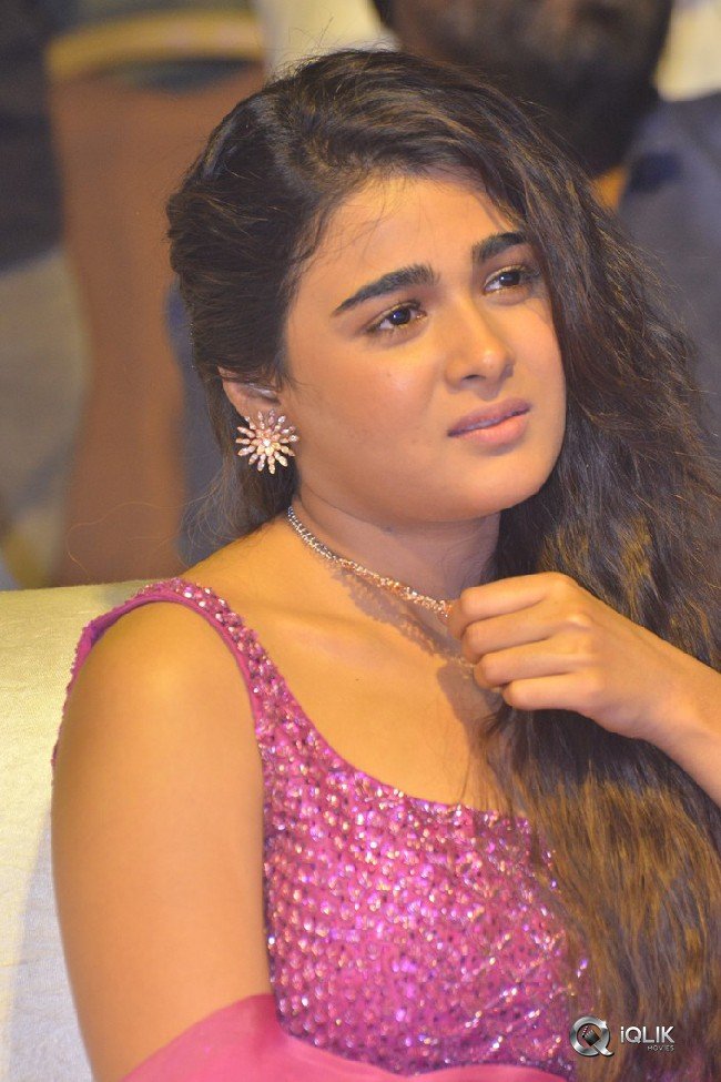 118-Movie-Pre-Release-Event-Photos